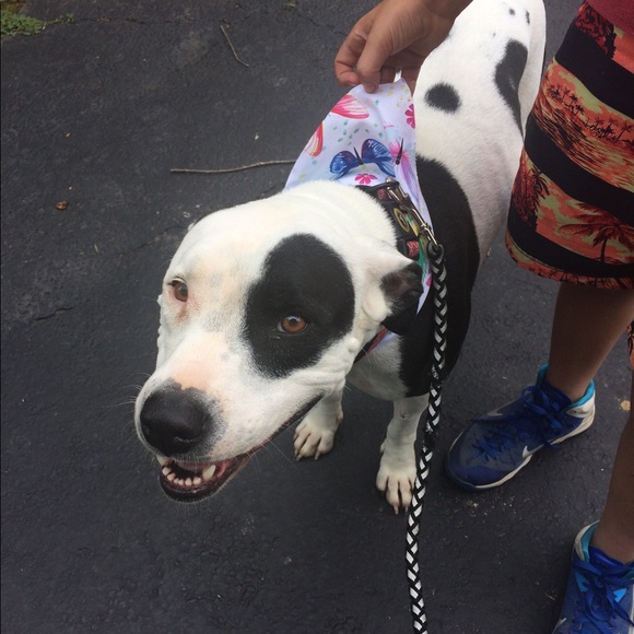 Meet your Posher, Rebecca - Picture 4 of 4